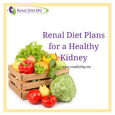 Diet Plan For A Kidney Patient