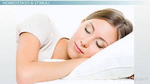 Internal External Stimuli Definition Examples Video Lesson Transcript Study Com