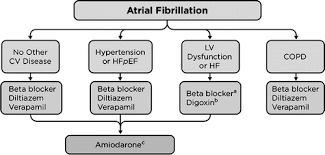 Sleep-Disordered Breathing And Cardiac Arrhythmias In Adults: Mechanistic  Insights And Clinical Implications: A Scientific Statement From The  American Heart Association | Circulation