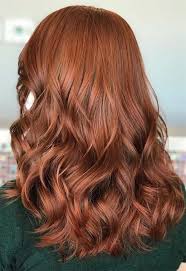 55 Auburn Hair Color Shades To Burn For Auburn Hair Dye Tips Light Auburn Hair Hair Color Auburn Auburn Hair Dye