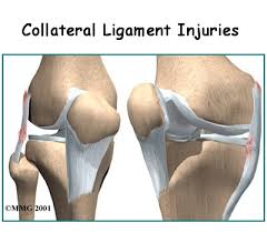Tendons and ligaments are bands of connective tissue that help stabilize the body and allow movement. Physical Therapy In Forest Grove For Knee Collateral Ligament Injury