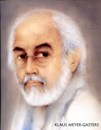 Klaus Meyer-Gasters