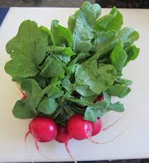 Maybe you would like to learn more about one of these? Can You Eat Radish Greens Melanie Cooks