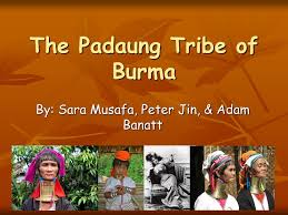 Thailand's famous long neck tribe are called the padaung, but despite their name, they don't actually have long necks. Ppt The Padaung Tribe Of Burma Powerpoint Presentation Free Download Id 721177