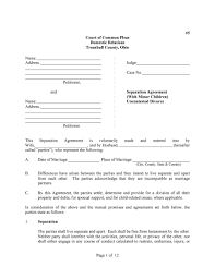 Do it yourself separation agreement ny. Separation Agreement Example Ny