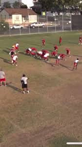 @LeonardPerryman's video Tweet