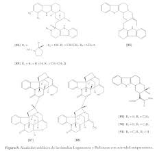 Image result for Albertisia