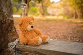 See more ideas about teddy, tatty teddy, blue nose friends. 600 Best Teddy Bear Photos 100 Free Download Pexels Stock Photos