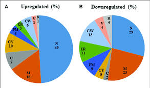 Pie Chart Categorizing Differentially Expressed Genes In The