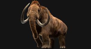 Downloadable Mammoth Elephant 3d Turbosquid Mammoth Extinct Animals Elephant