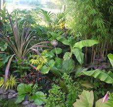 Tropical landscape plants, garden ideas and plans. Pin On Ideas For The House
