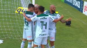 Resultado de imagem para palmeiras campeÃ£o brasileiro 2018