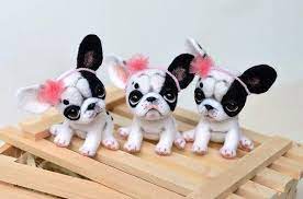 Black White French Bulldog Puppy Little Felt Dog Sweet Etsy White French Bulldog Puppies Bulldog Puppies Needle Felted Dog
