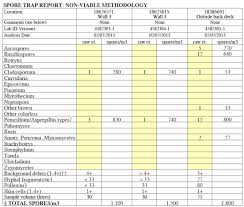 Mold Testing Air Quality And Lab Results Interpretation