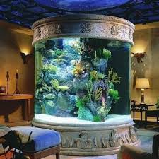 Aquarium acrylic fish tank breeding isolation box with rooms for baby fish. 46 Inspiring Fish Tanks For The Aquatic Lover In You