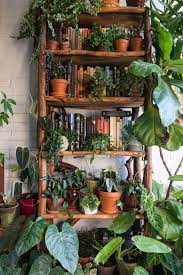 Can Online Gardening Classes Actually Make You A Better Plant Parent Room With Plants Bedroom Plants Plants