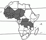 Image result for Andropogon pseudapricus