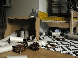 Divertir Son Lapin Et Enrichir L Environnement Jeux Et Jouets Pour Lapins La Dure Vie Du Lapin Urbain Jouet Pour Lapin Jeu Pour Lapin Lapin