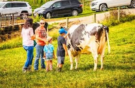 3rd Annual Grayson County Ag & Art Adventure