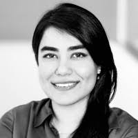 Noam Erez Email & Phone Number