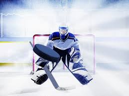 Agb datenschutz versandkosten widerrufsformular widerrufsrecht lieferzeit zahlungsinformationen online. á… Bestandteile Der Eishockeyausrustung Und Aufbau Des Eishockey Spielfelds