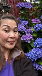 Wildflower identification help needed