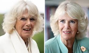 Camilla, Duchess of Cornwall 'more radiant than ever' as she prepares for  HUGE milestone
