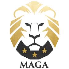 Image result for maga lion