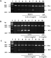 The gross composition of camel milk is similar to bovine milk. Potential Antiviral Activities Of Camel Bovine And Human Lactoperoxidases Against Hepatitis C Virus Genotype 4 Rsc Advances Rsc Publishing Doi 10 1039 C5ra11768b