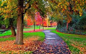 Autumn Screensavers And Wallpaper Nature Wallpaper Hd 3d 1440x900 Wallpaper Teahub Io Download free autumn screensavers for your windows desktop pc today!