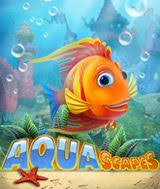 Take care of your finned friends. Download Aquascapes For Free At Freeride Games
