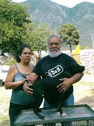 ONLINE PEDIGREES :: [378671] :: MARIO GOMAR´S EL YERBERO