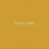 Ukulele chords and tabs for raise a glass by mighty oaks. Mighty Oaks Forever Austriancharts At