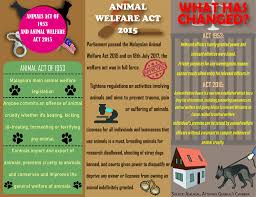 It is the main federal law in the united states that regulates the treatment of animals in research and exhibition. Youth Voices Listen Lah Home Facebook