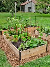 May 17, 2021 · plants that come directly into contact with the soil, however, will not have as much room and will therefore need to be deeper. Deep Root Cedar Raised Beds 4 Ft Cedar Raised Garden Beds