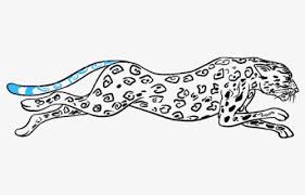 The new lines in each step are. How To Draw Cheetah Cheetah Drawing Easy Transparent Free Transparent Clipart Clipartkey