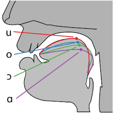 Singwise Vowels Vowel Formants And Vowel Modification