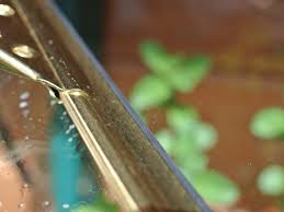 Fenster Putzen Ohne Streifen In 2020 Fenster Putzen Fenster Abzieher