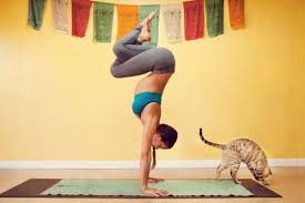 This Guy Always Posts Photos Of Fit Women Often Doing Extreme Yoga Poses Like This One Yoga Girl How To Do Yoga Yoga Guru