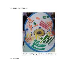 Tanah liat, lilin, gips, plastisin. Cara Membuat Gambar Hewan Dari Plastisin Sel Hewan Alat Dan Bahan Membuat Patung Dari Plastisin Berbagai Alat 13 Macam Ke Sel Hewan Gambar Hewan Hewan