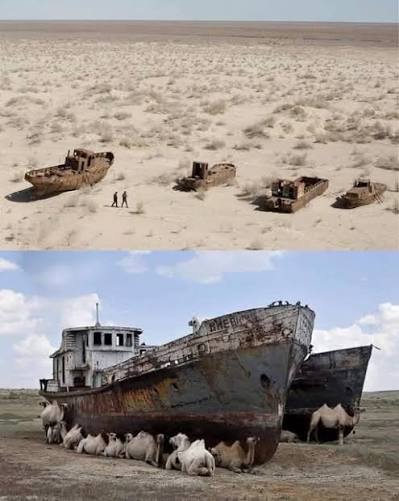 The Aral Sea, Once the World's Fourth-Largest Inland Lake, Was Drained Dry. Now It's a Ticking Carbon Bomb