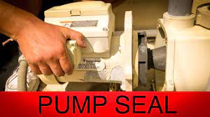 Read through our guide of single, dual and variable speed pool pumps. How To Replace A Pump Seal In A Pentair Intelliflo Pool Pump And Daily Vlog 129 Youtube