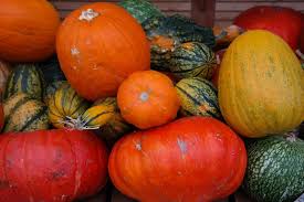 Grossiste En Courge Et Potiron Origine France Grossiste En Fruits Et Legumes Frais A Marseille Jeanningros