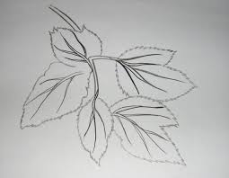 Foliage Drawing By Palak Khandelwal At Coroflot Com This article was supported by patreon! foliage drawing by palak khandelwal at