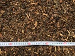 We did not find results for: Cottage Pine Lyndpark Garden Supplies