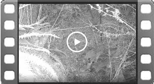 Public Correspondence