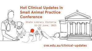 How do different forms of oppression prop each other up? Hot Clinical Updates In Small Animal Practice Conference State Library Victoria Melbourne 21 June To 22 June