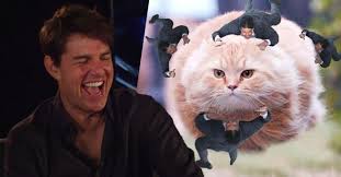 Find the newest tom cruise meme meme. Cool Videos Tom Cruise Busts A Gut When Shown Memes About Himself