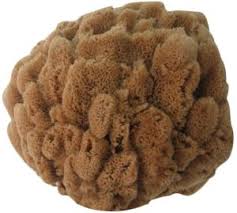 Not available at clybourn place. Nefertari Untreated Natural Sea Sponge Buy Online Bath Body At Best Prices In Egypt Souq Com