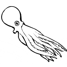Octopus coloring page free printable. Octopus Coloring Page Animals Town Animals Color Sheet Octopus Printable Coloring